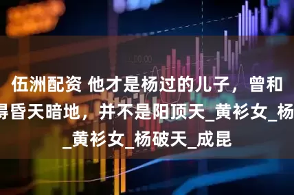 伍洲配资 他才是杨过的儿子，曾和张三丰打得昏天暗地，并不是阳顶天_黄衫女_杨破天_成昆